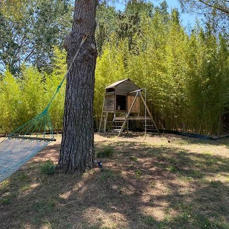 Вилла Petit Mas Calme Typique Du Sud ! Valergues Экстерьер фото